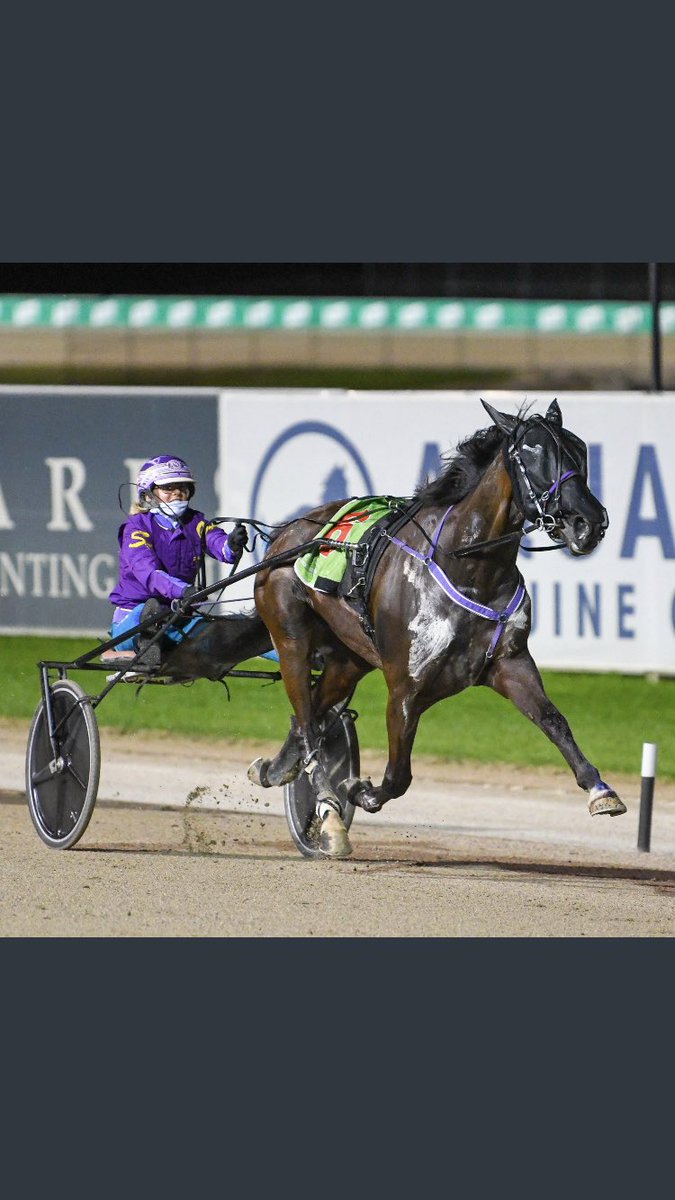 mleppard11's tweet photo. A small part of me is glad I couldnβt be at Menangle last night, cos after big Art put a gap on them half way up the straight my liver would have been cast for a month. My first Group 1. #creditmaster #absolutescenes https://t.co/gpklb9p3Zq