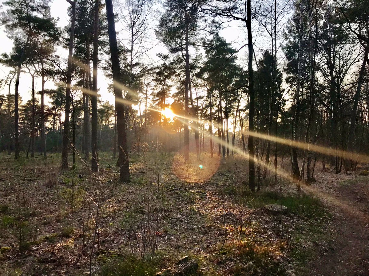 Yttap67's tweet photo. • Blauwtje lopen 💙
Maar dat hadden we er voor over 😉Heerlijk gewandeld met vrienden Arjan & Iris op landgoed #Lankheet
Na wel nadat we eerst van scones, cream & jam & fijne thee hebben genoten bij Theeschenkerij Jordaan.
Zo leuk! https://t.co/vPpZwC7l3j