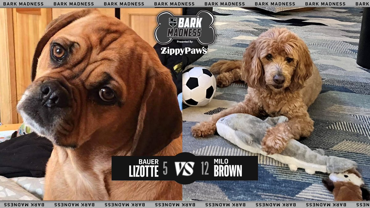 LA Kings tweet media