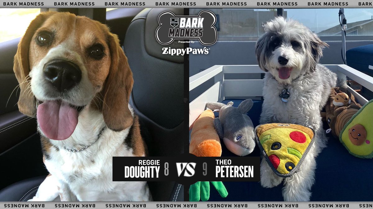 LA Kings tweet media