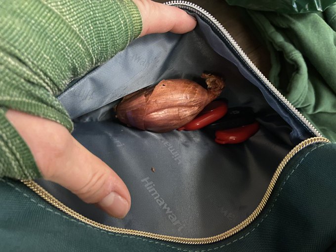 I forgot my headphones for the gym but for some reason I have 3 selfie remotes and a shallot? I&rsquo;m so<a href="/tag/mvsales"class="tags"><span>#mvsales</span></a>