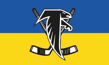 anne sommers welch tweet media