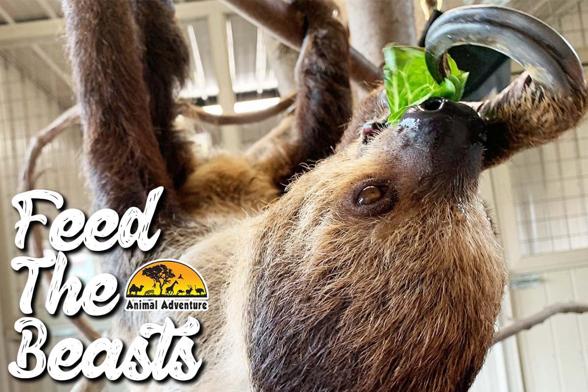 Animal Adventure Park tweet media