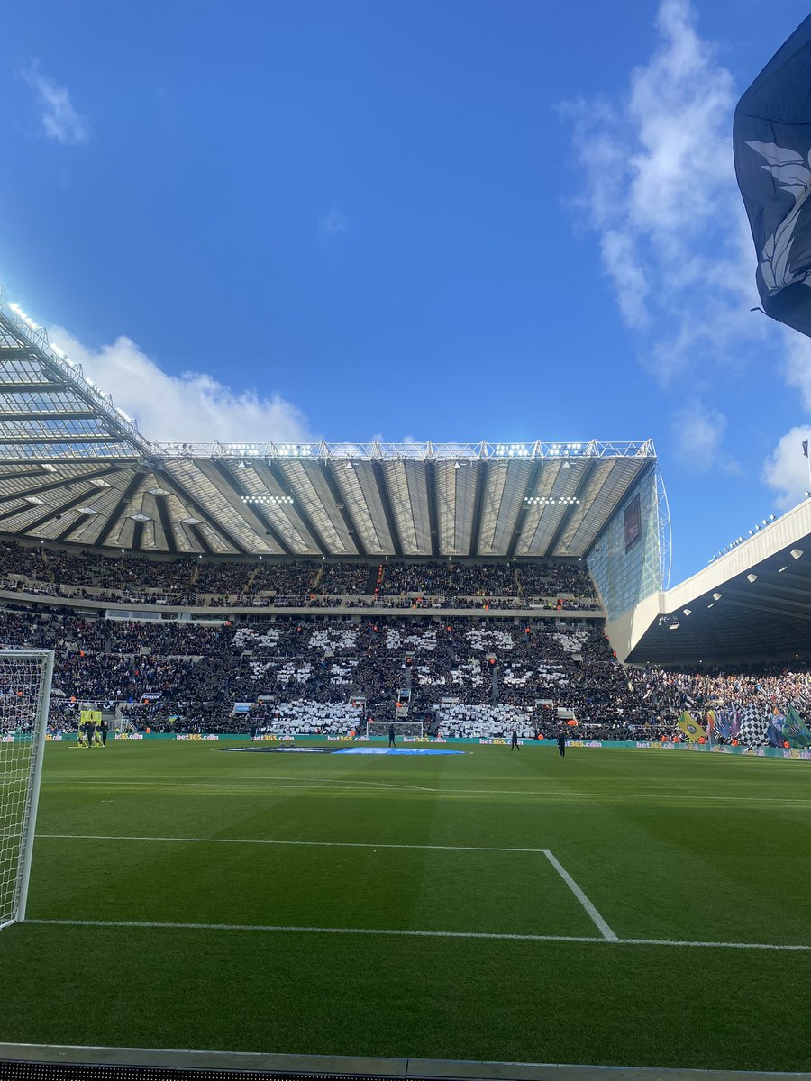 laura_plumm's tweet image. Fantastic result for @NUFC today and amazing atmosphere #nufc #StJamesPark ⚫️⚪️