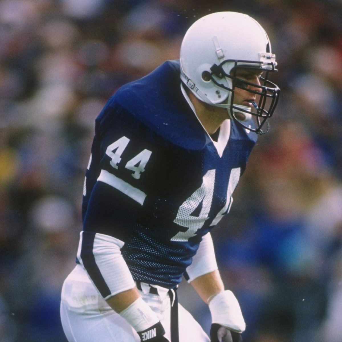 Prep2ProDB tweet media