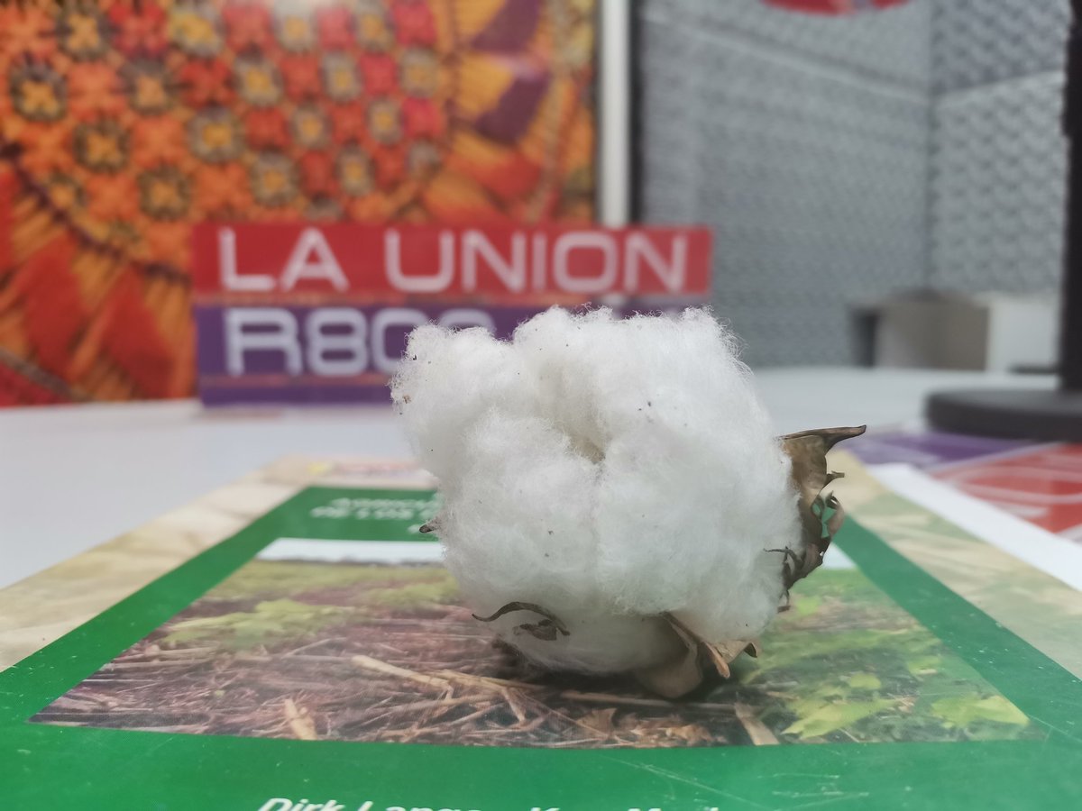 AmanecerAgroPy's tweet photo. En su momento la joya de la producción paraguaya. https://t.co/7HKPR7PmHj