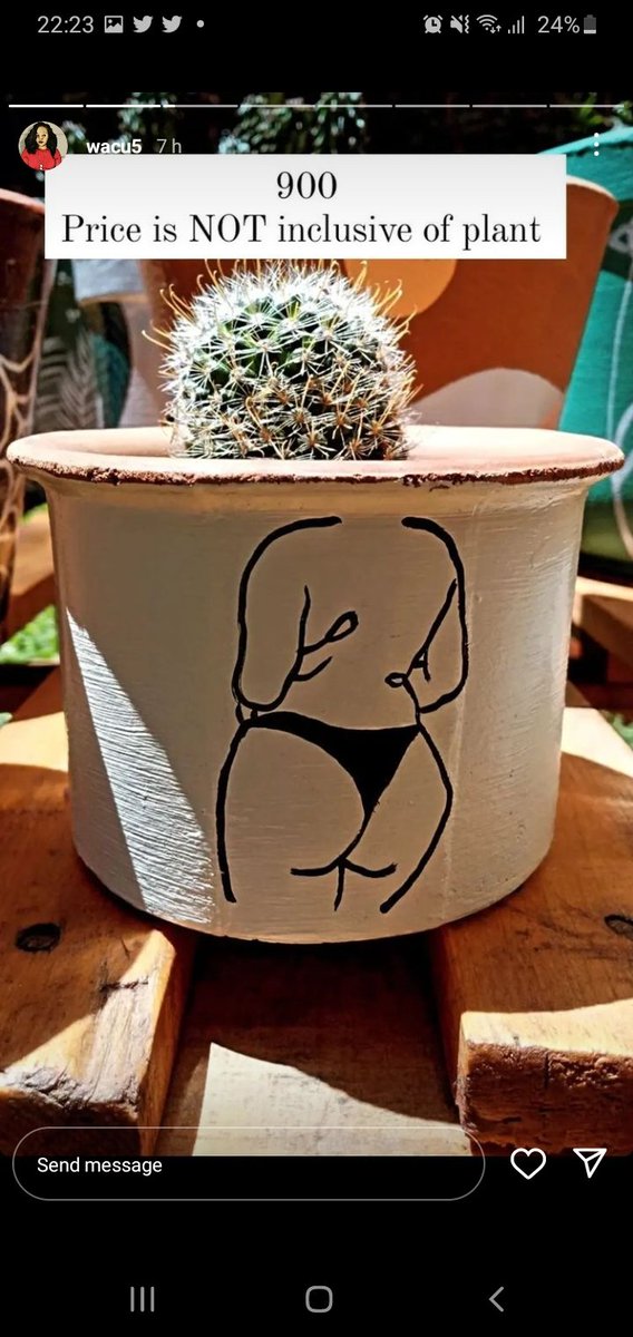 plantcraze's tweet photo. Pot of the dayπ
From our nude collection.
Celebrating all the women hereπ
#paintedpots #plantstudiokenya #InternationalWomensDay https://t.co/0PEVkvgbJK