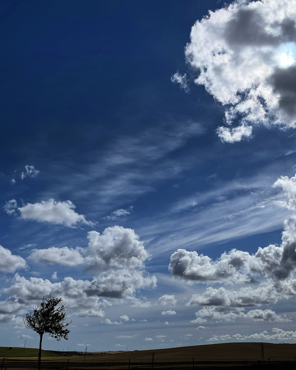 ionztomo16's tweet photo. #areasur #jerez #fotos #fotografia #nubes #clouds #photography #art https://t.co/kkv7NakI2C