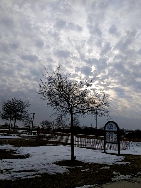 nkripted tweet media