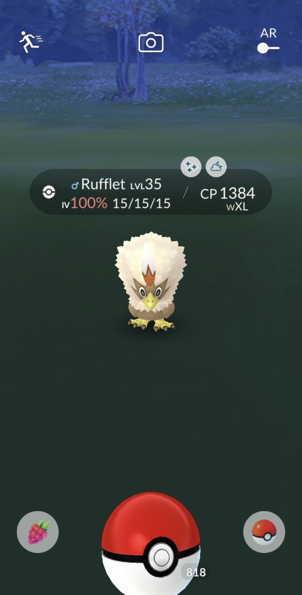 shinypok3hunt3r's tweet photo. SHUNDO MAX !!!!!!!!! 

✨🦅✨🦅✨🦅✨🦅✨🦅✨

#shinyRUFFLET💯 level 35

#PokémonGo
#SeasonOfAlola
#shinypokémon
#shinyhunters
#pogoshinymasters 
✈️✈️✈️ https://t.co/nyRren7RNJ