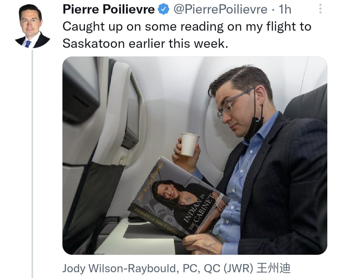 jcccyeg's tweet photo. I suspect he's stuck on the first couple pages. Comprehension isn't his strong suit. #FUPP #PigeonShit https://t.co/8mkjTbkaGh