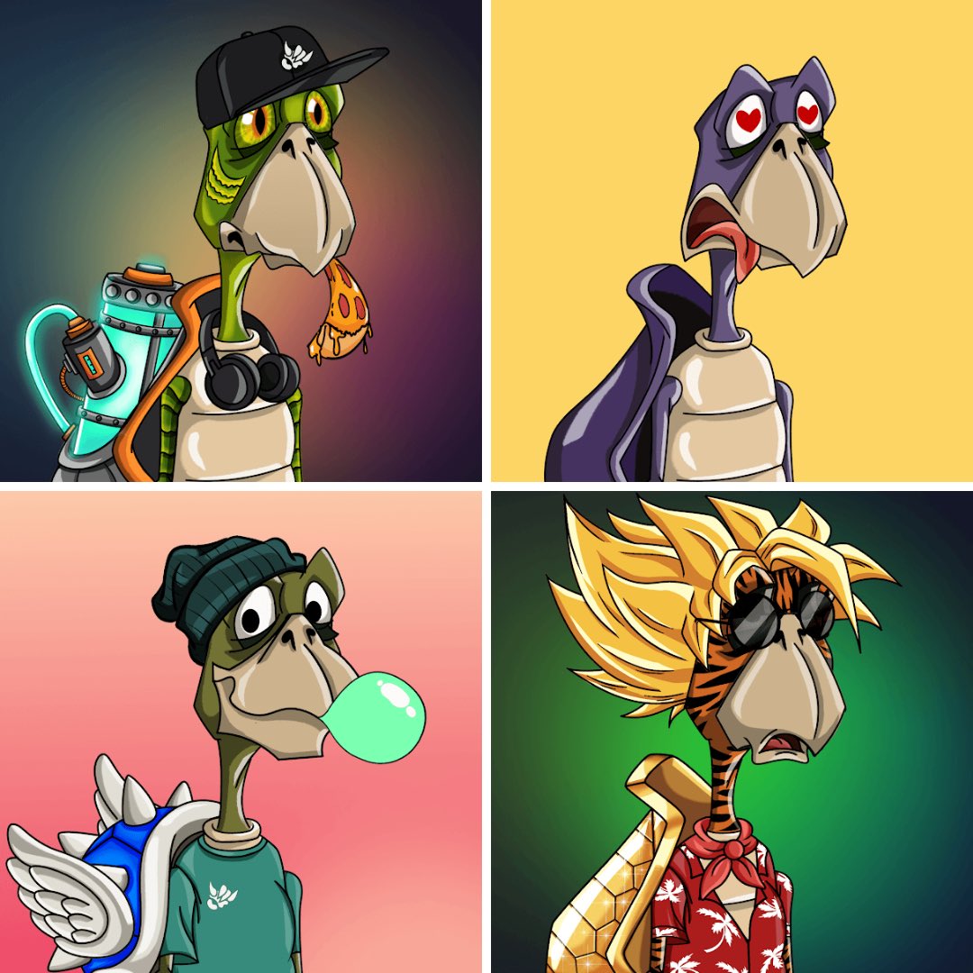 Shell_Shakaz's tweet photo. We have some amazing turtles to show off from our drop 1 Minidrop!!! Just getting started!
Share your turtle/name/story to the world! Itβs been a fun reveal! Canβt wait to see some more Shell Shakaz!
Drop 1 mint is live!
#shellsquad
#turtle4turtle
#nft
#nftcollection https://t.co/3wdKTAjtq2