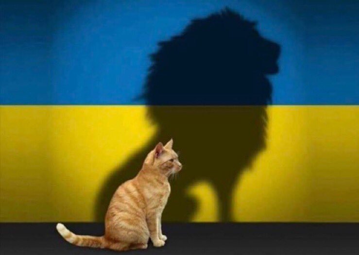 HHNB52168650's tweet photo. @visegrad24 #SlavaUkraini 🇺🇦🌻 https://t.co/nQAQN4VOSQ