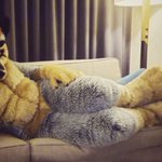 Photo by Lycus After Dark (@LycusAD)