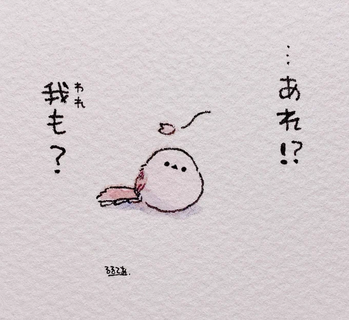 君もだね 