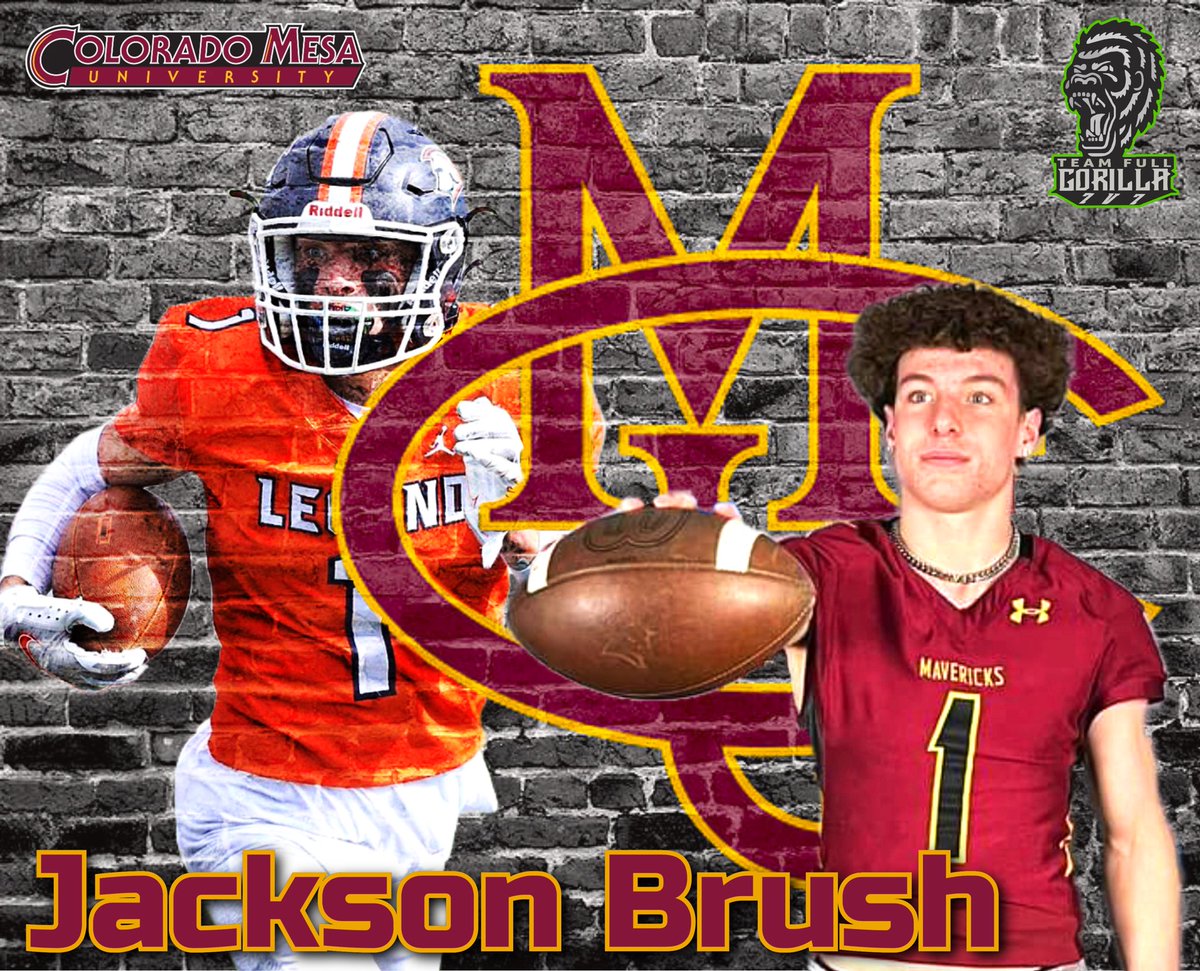 Team Full Gorilla tweet media