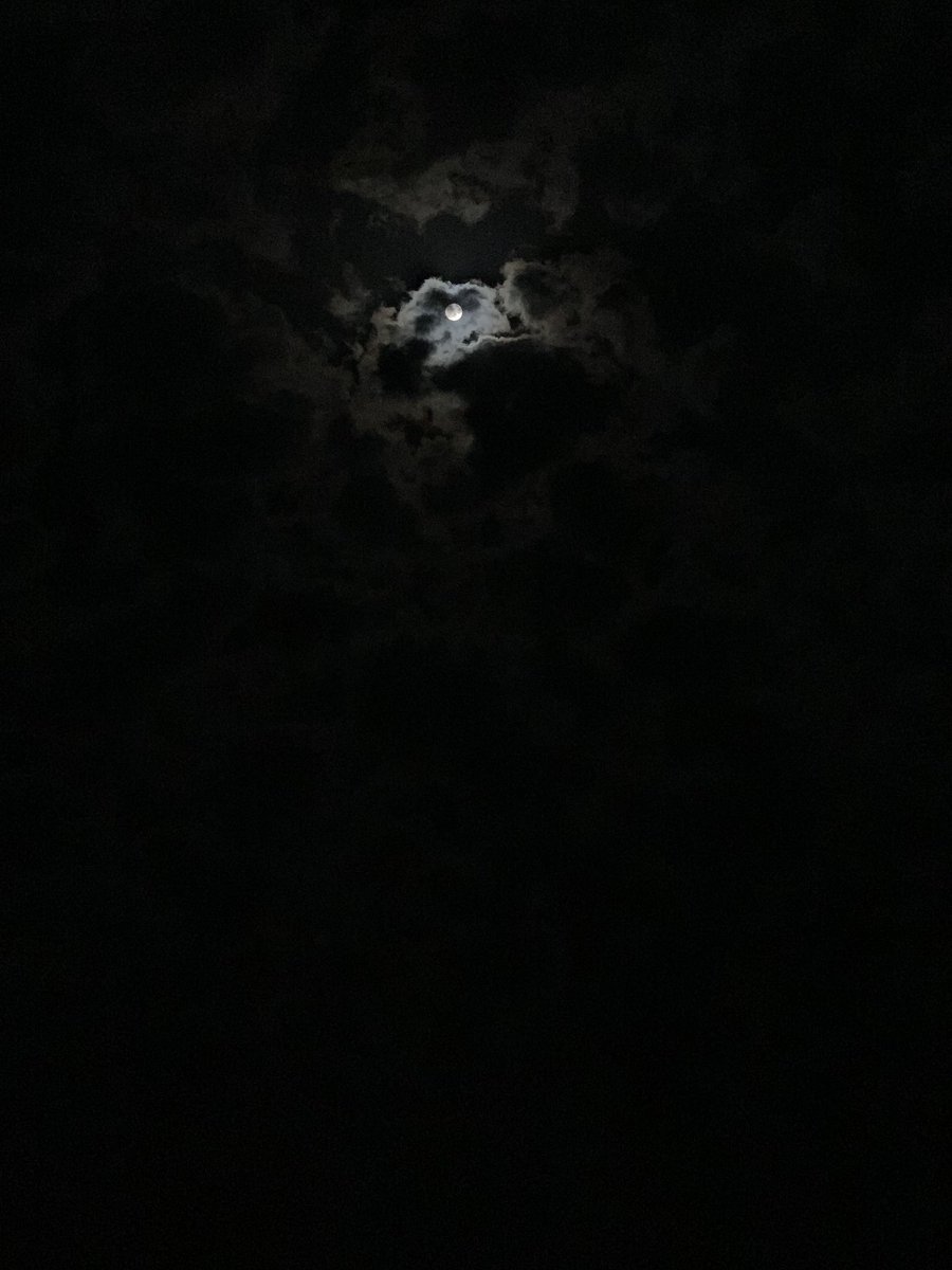 io1xz's tweet photo. https://t.co/TQbCIzWiiV