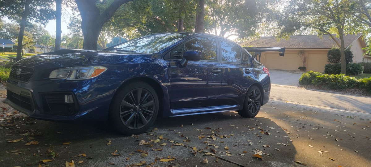 PokeNole tweet media