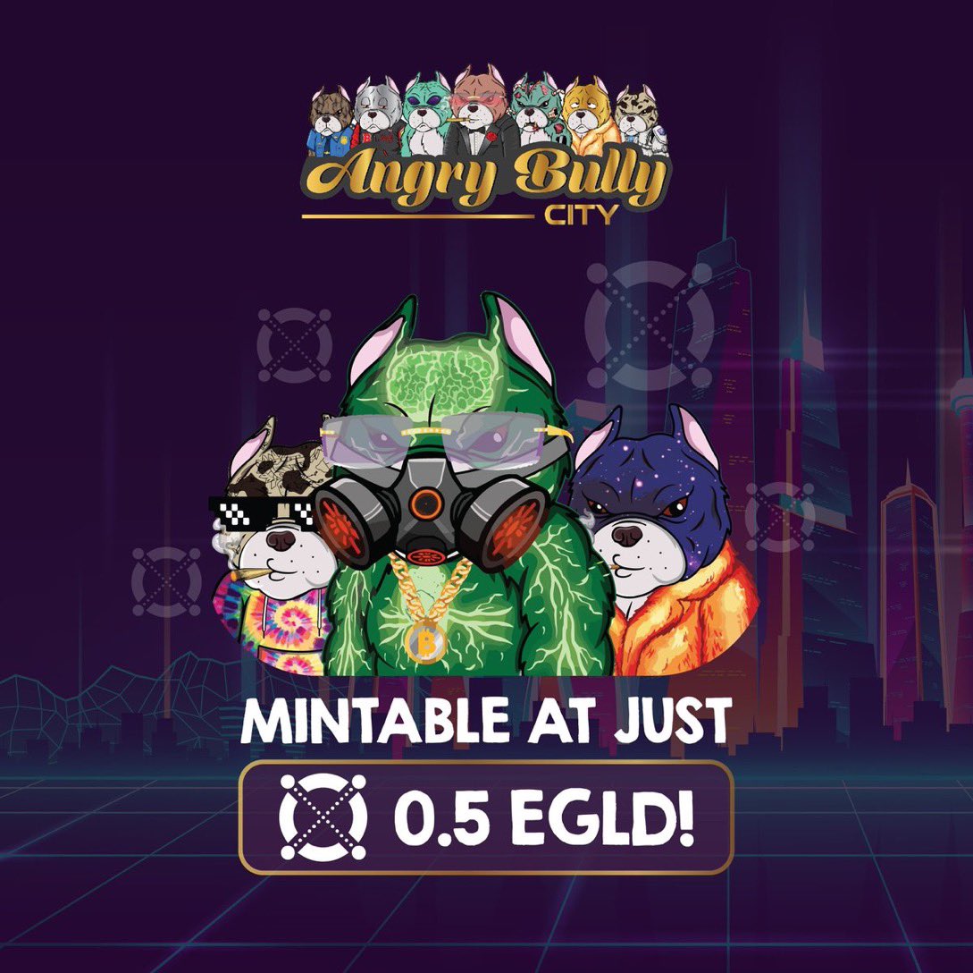 Angry Bully City🇺🇦 PreSale till 03/19 tweet media