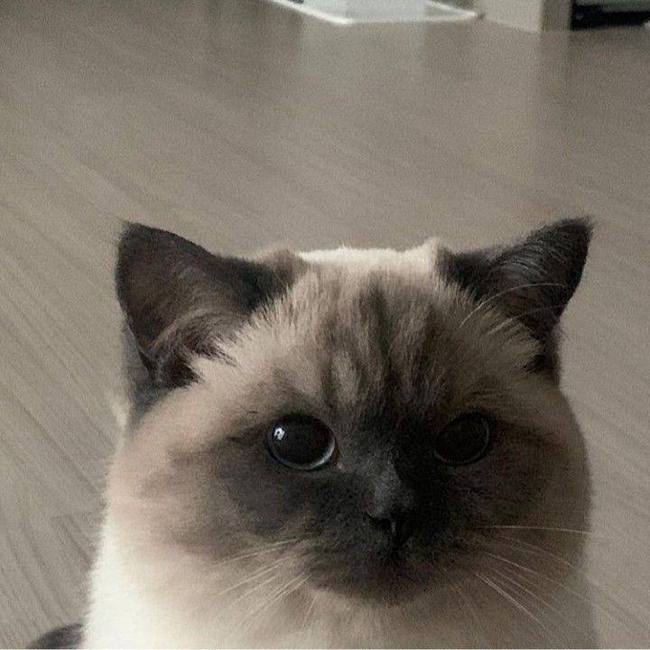 isuuch's tweet photo. https://t.co/H36L290fq6