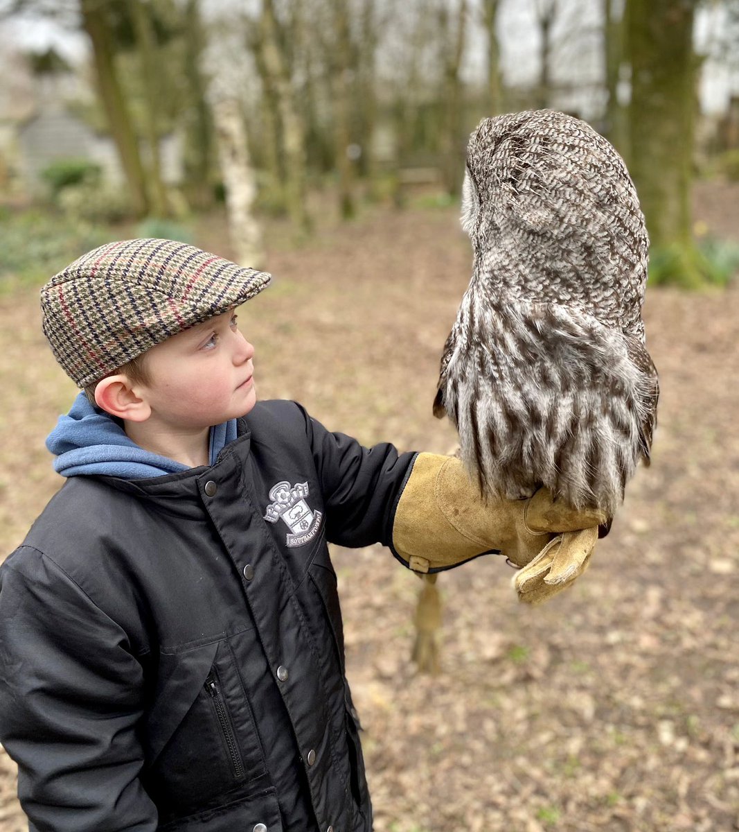 la_thatcher's tweet photo. The look of love #hawkconservancy https://t.co/Y1ajJ3q2LO