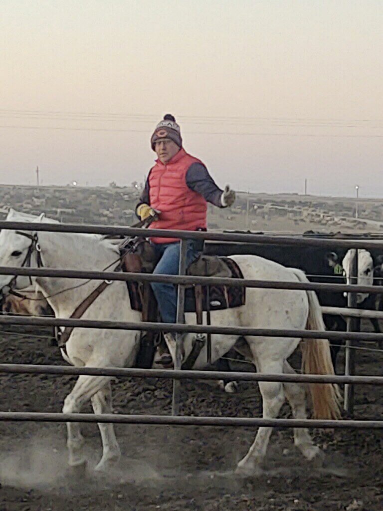 Link13Dave's tweet photo. Enjoyed riding this morning, great to get #horseback again! https://t.co/mlODrAmdPt