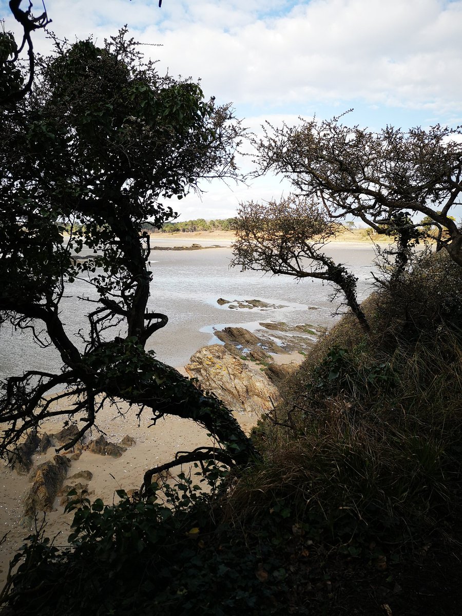 SegOoBZH's tweet photo. Un 5 mars comme je les aime, sur le bord de côte, avec un temps ensoleillé 🌤🙂❤️
#Asserac #PresquileDeGuerande #lamarcheauxboeufs #PenBe https://t.co/T9bawRRur6