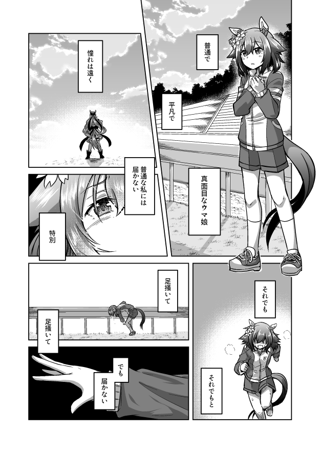 5 (2/6) 