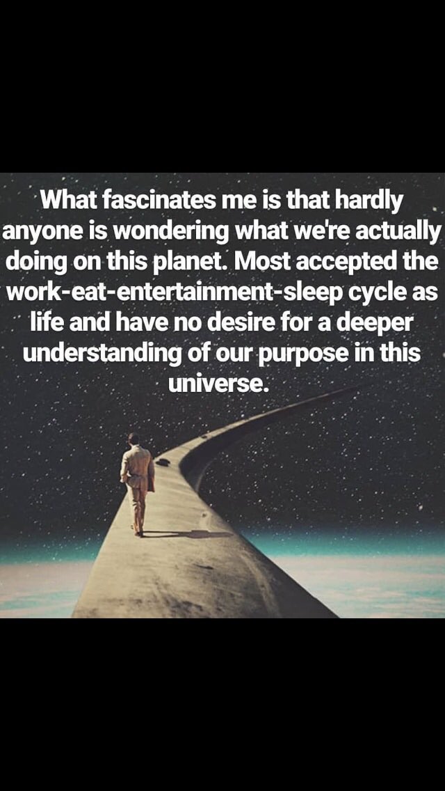 Dan DeAngelis tweet media