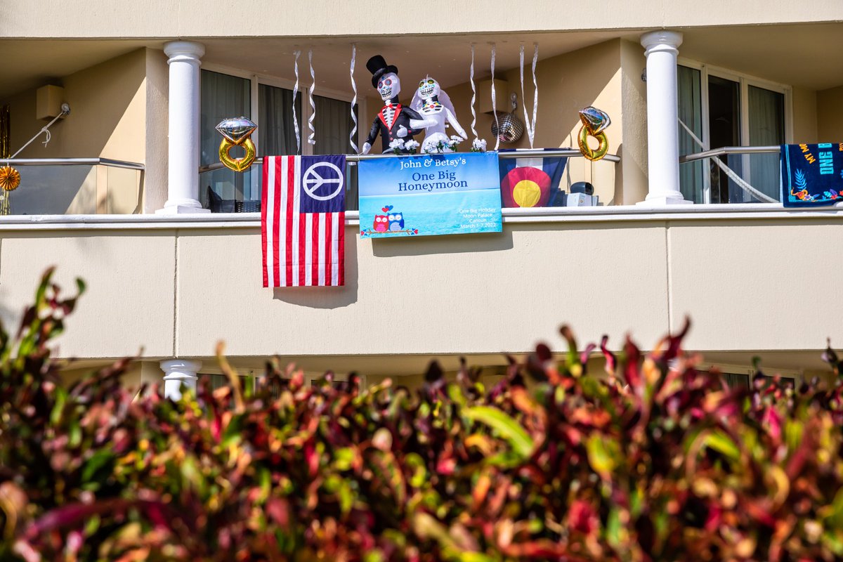 MMJ One Big Holiday tweet media