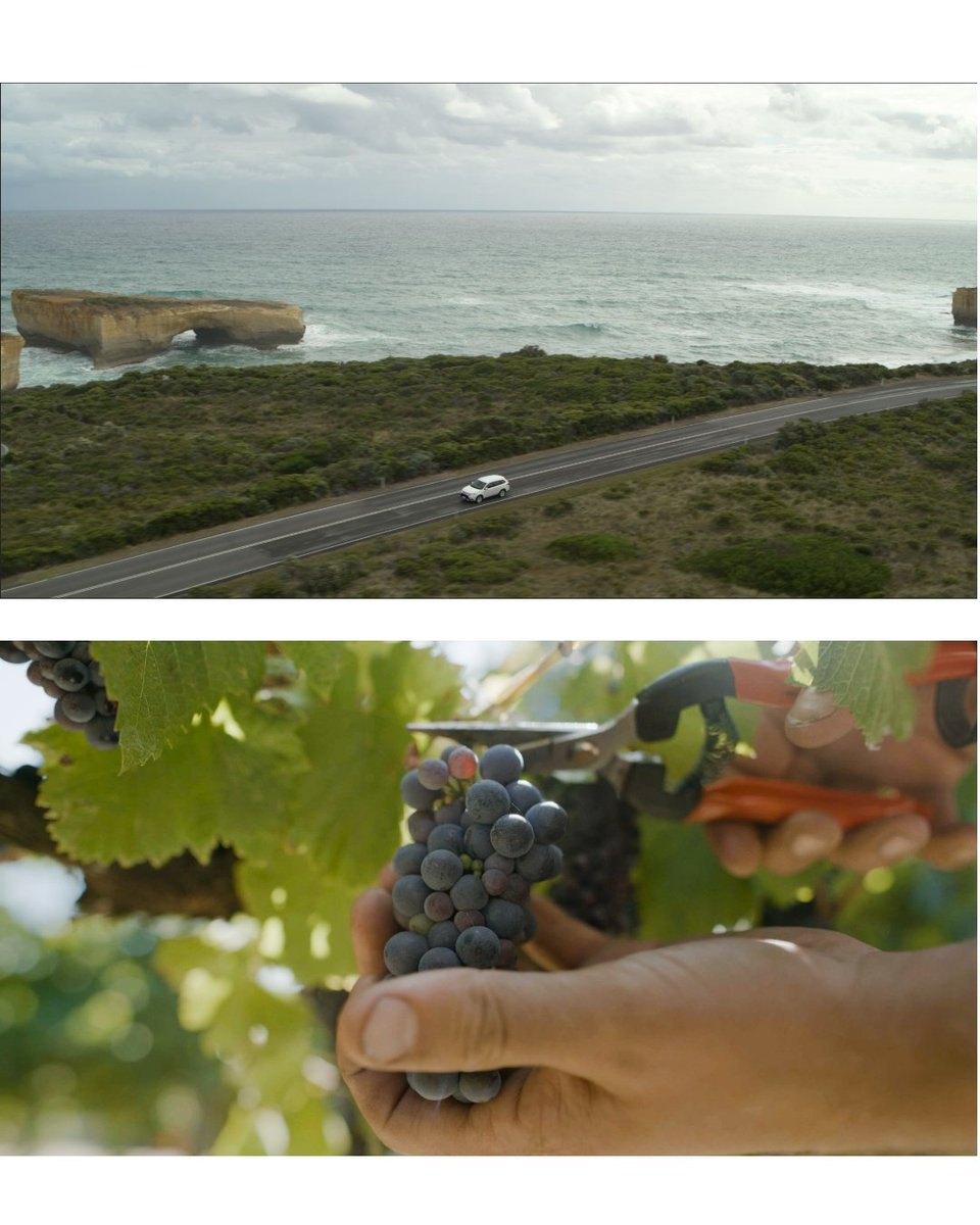 A few video frame grabs from last week shooting on the Great Ocean Road. Shot on the Kinefinity Mavo Edge 8k. Who else shoots commercial tourism?
