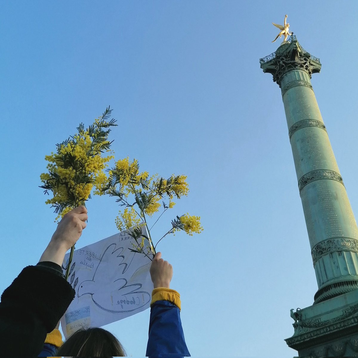 Chessa Milena tweet media