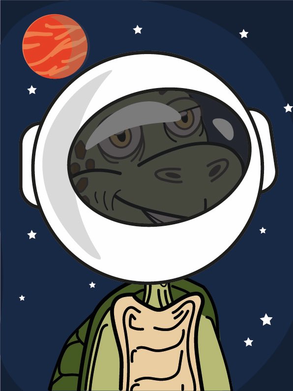 The Turtle World tweet media