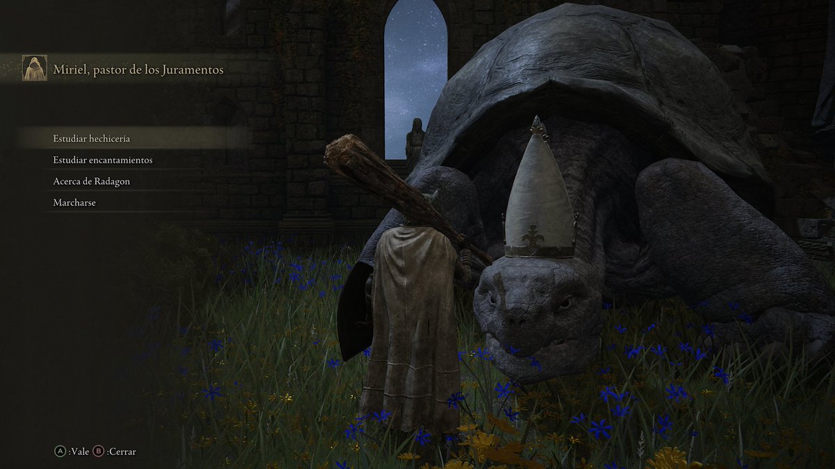 ¿Una tortuga que enseña hechizos? Elden Ring
