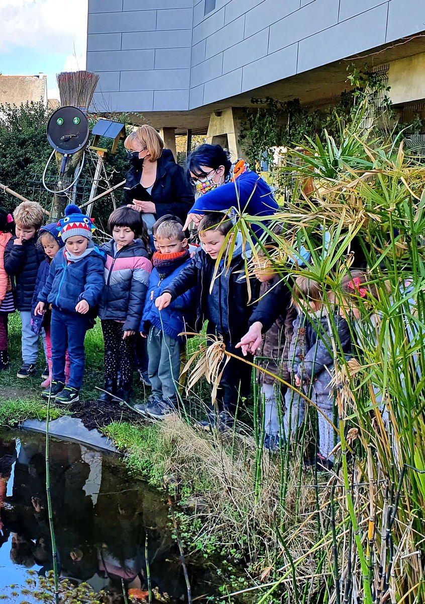 SVTBeaumanoir's tweet photo. Les élèves de Grande Section de l'école #FrancoiseDolto sont venus rencontrer les collégiens. Un projet autour du #goût et des #sens avec les 3A. Les élèves du #clubnature ont encadrés la visite du #poulailler,
du #jardinpédagogique, de la #boutiquesolidaire. https://t.co/os9U9j15PL