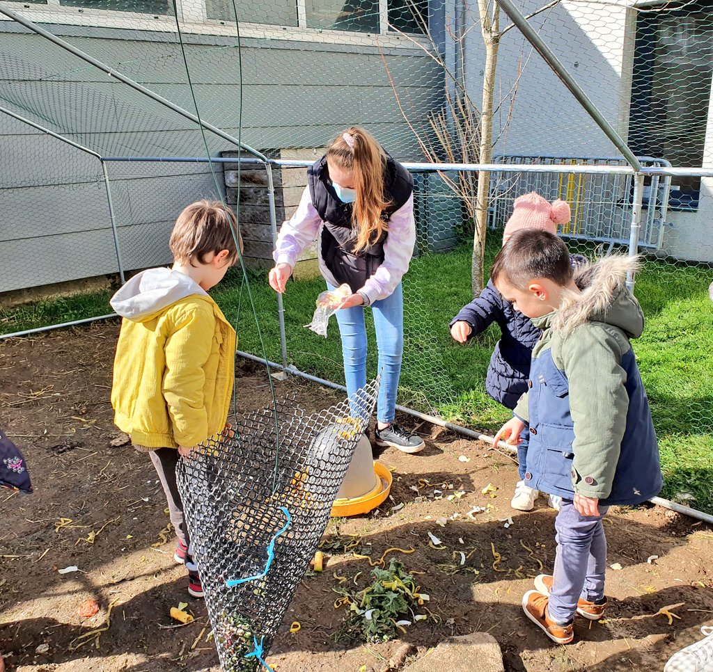 SVTBeaumanoir's tweet photo. Les élèves de Grande Section de l'école #FrancoiseDolto sont venus rencontrer les collégiens. Un projet autour du #goût et des #sens avec les 3A. Les élèves du #clubnature ont encadrés la visite du #poulailler,
du #jardinpédagogique, de la #boutiquesolidaire. https://t.co/os9U9j15PL