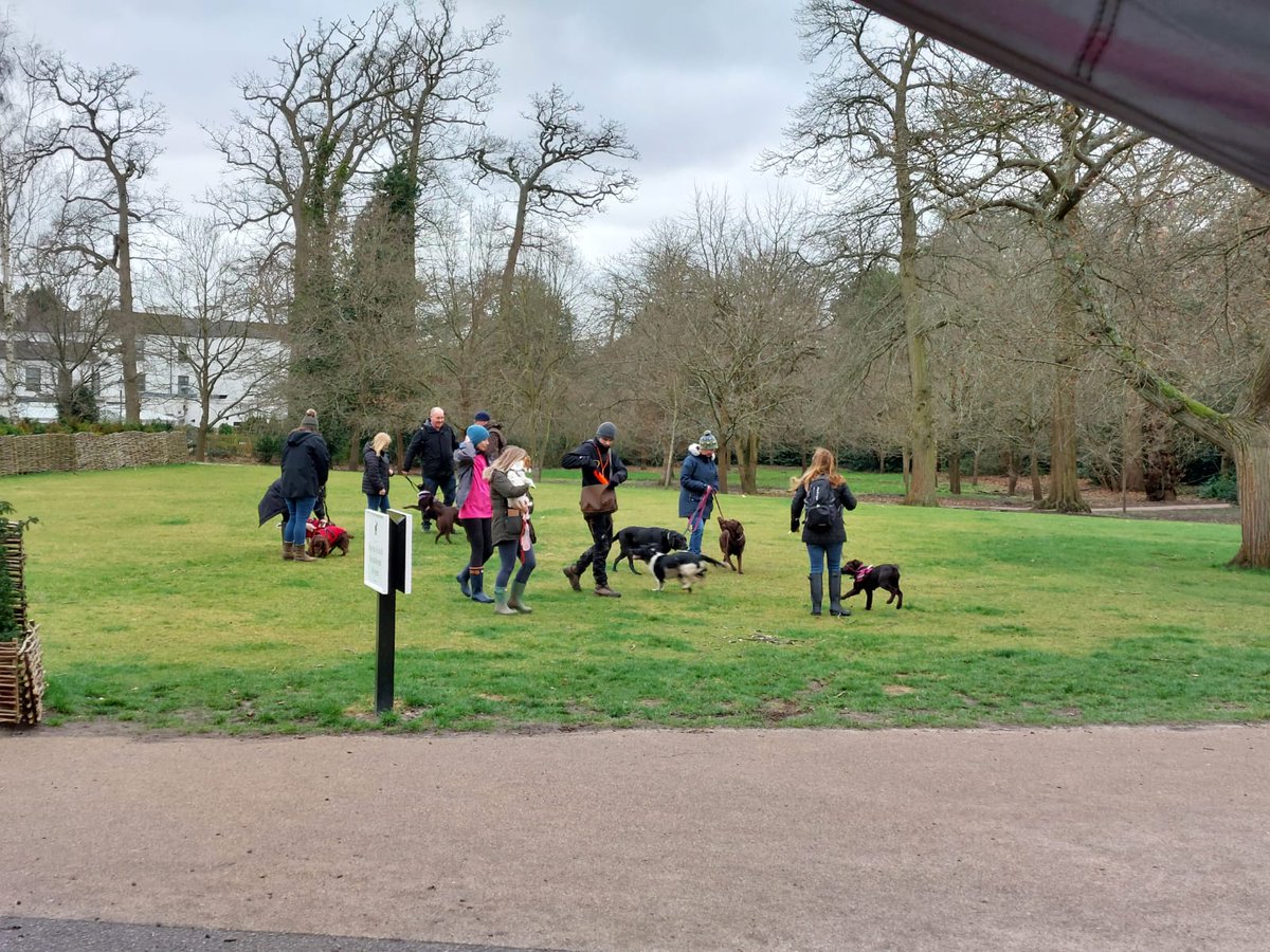 Today saw us attend the remembrance walk event by Ella Bailey world wide cancer charity group in memory of Bella who was lost 3 years ago
#animalcancertrust #letsbeatcancer #fightingcancerinourpets #remembrance #dogwalk #charity