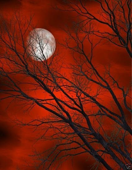 profetav's tweet photo. @Isabella00089 @PaolaPaolin @LupacchiottaTit Buona notte Isabella dolce sogni. https://t.co/I33E9RMlON
