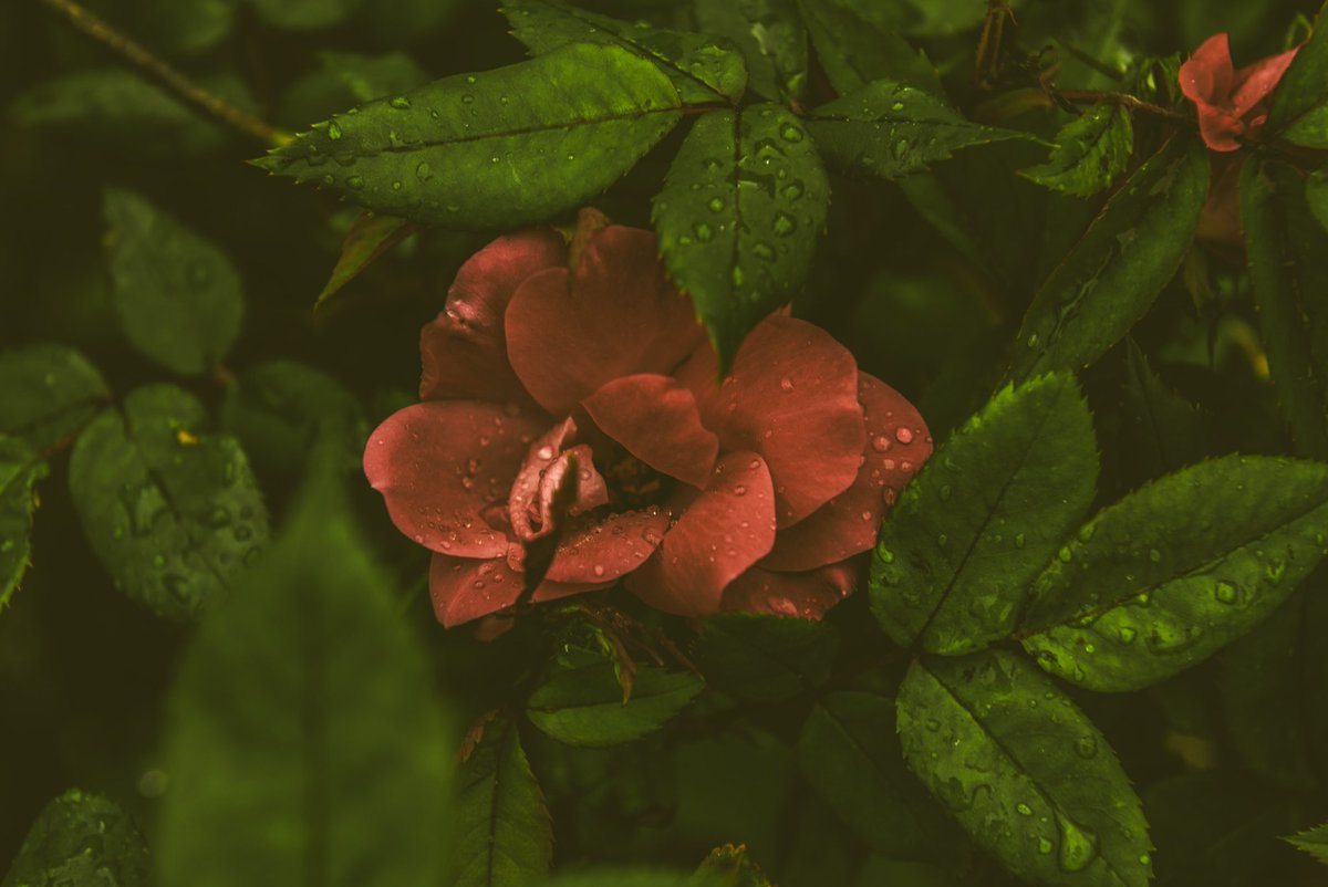 I take cool pics tweet media
