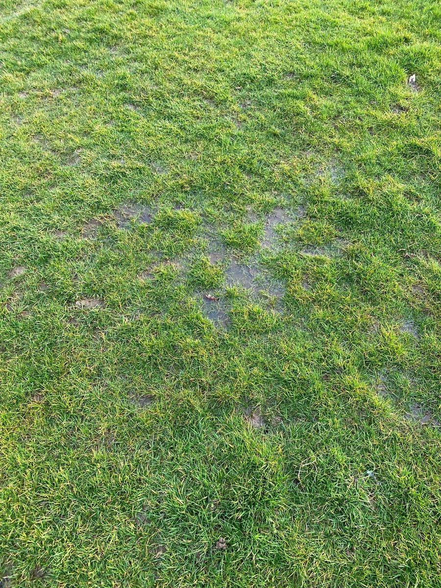 The Real Gaffer tweet media