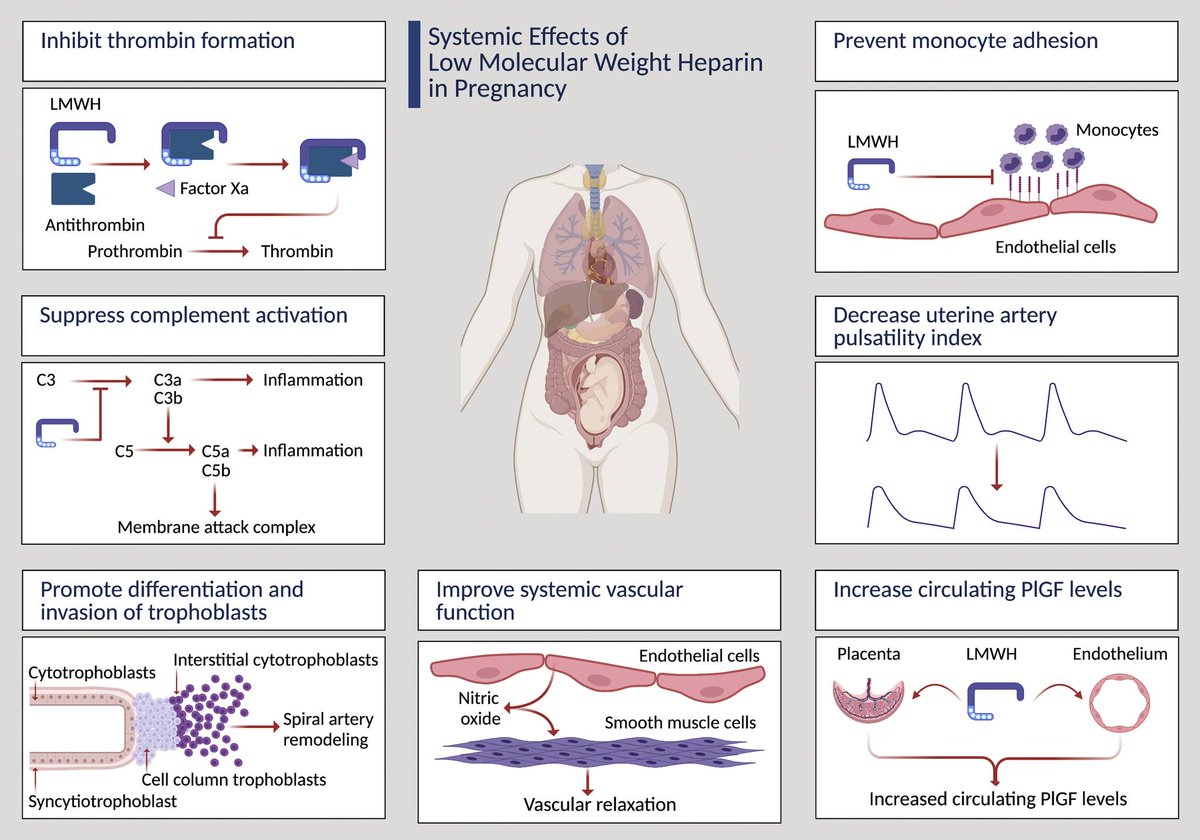 Circulating maternal placental growth factor responses to low-molecular-weight heparin in pregnant patients at risk of placental dysfunction - Systemic effects of LMWH in pregnancy  ow.ly/fF5j50I5aT4