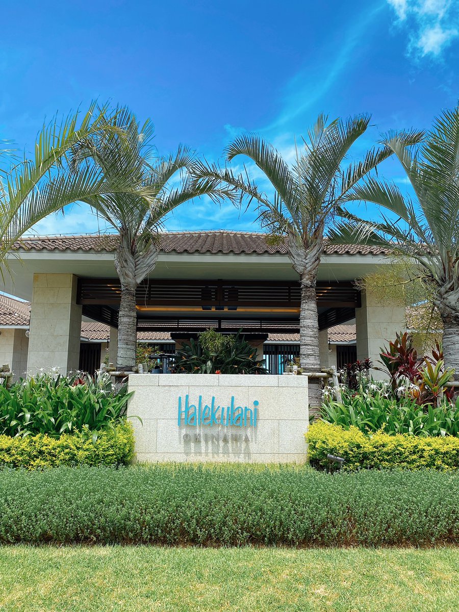 おはようございます☀
だんだん日中暖かくなってきましたね😆
ただ花粉がすごい😂
こういう時は沖縄🌴🌺✈🍍に行きたいと思うこの頃です☺️
今日も頑張るぞ🔥🔥

#おはようございます
#朝活
#花粉
#沖縄