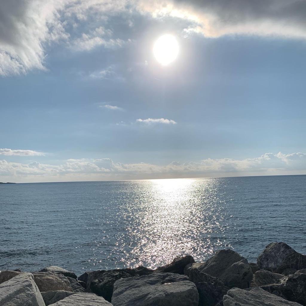 gcmaffe's tweet image. 