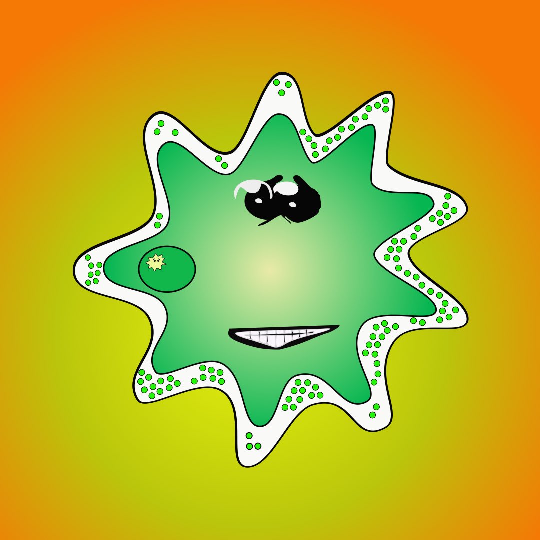 The Amoebas tweet media