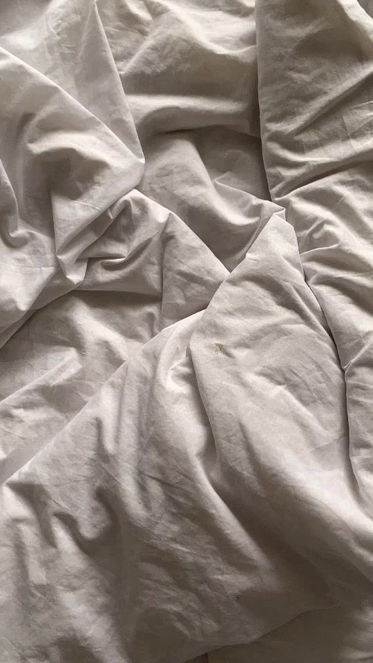 morning