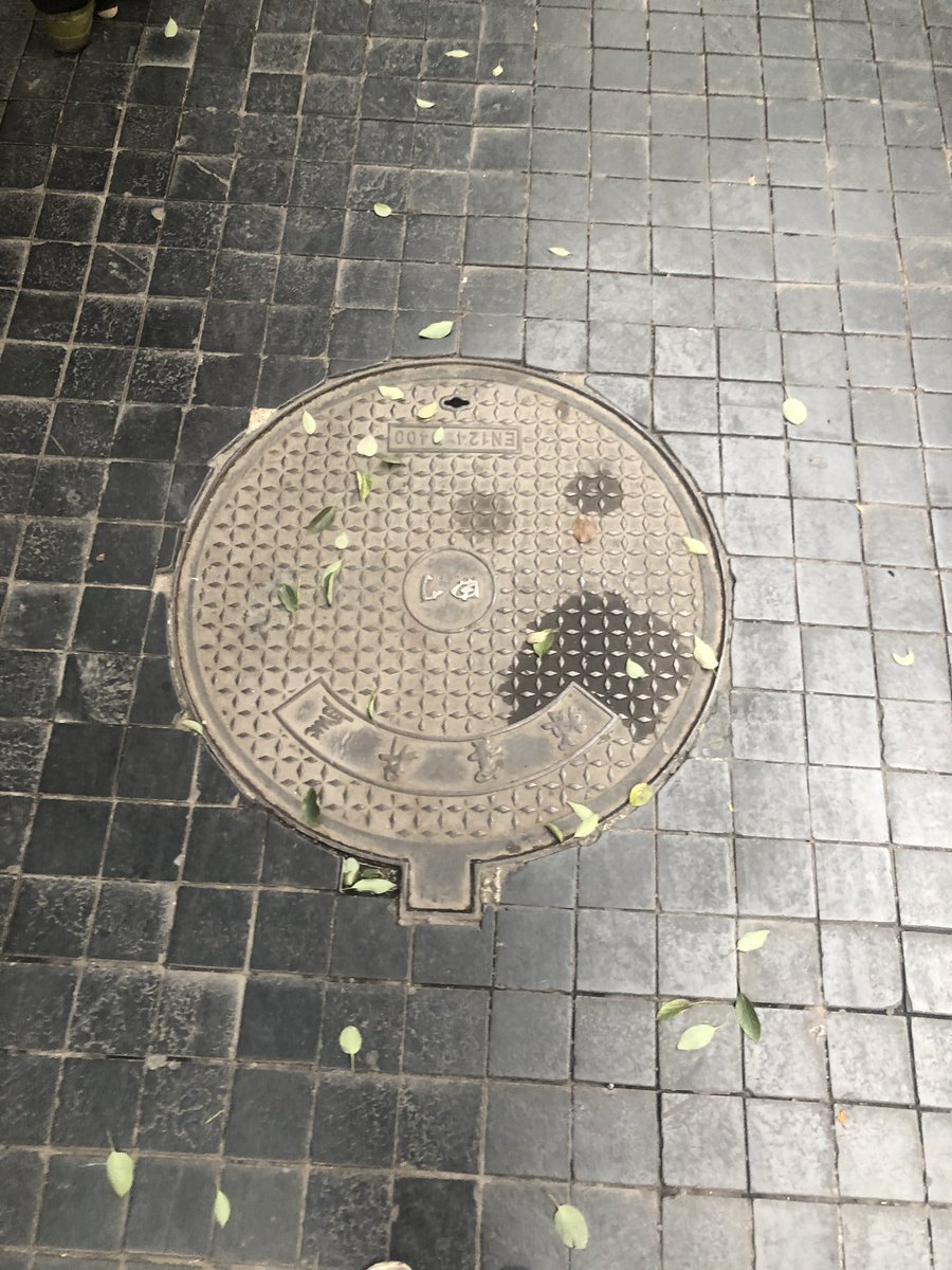 哎呀~差点踩到了悲伤井盖先生~