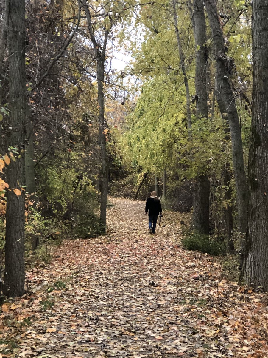 adreamer139's tweet image. #dPSpeace #dPSweeklychallenge