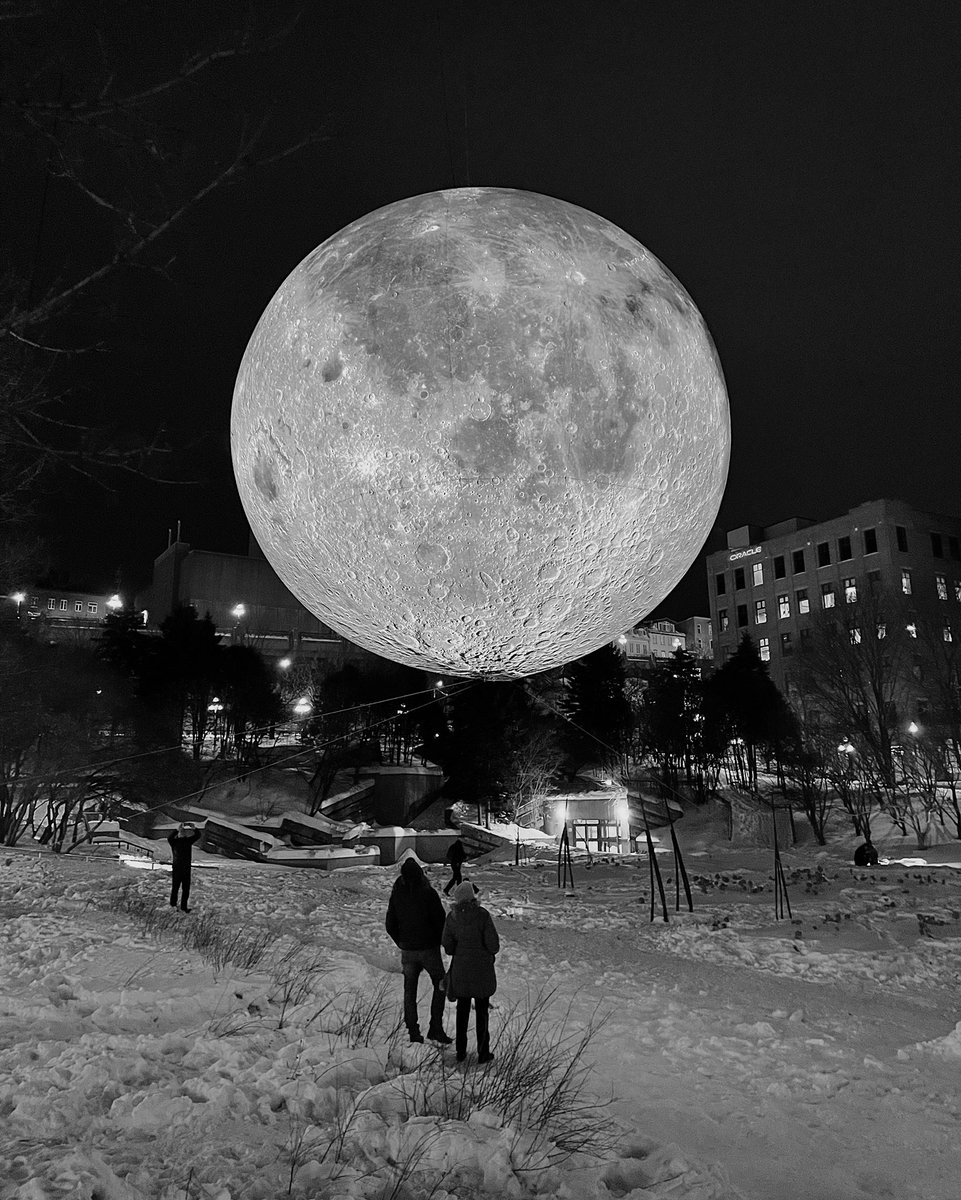 i0livier's tweet image. 🌕 #manifdart