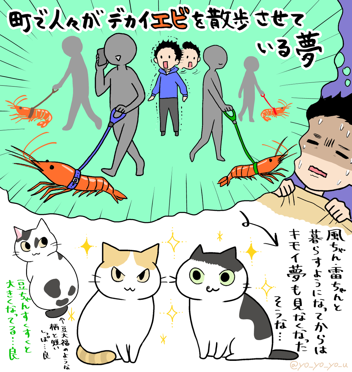 今週のサンシャイン池崎さんの保護猫コーナーは特に見所満載だったのですが、やはり最初の夢の話のインパクトが頭から離れませんでした
#みんなのどうぶつ園 