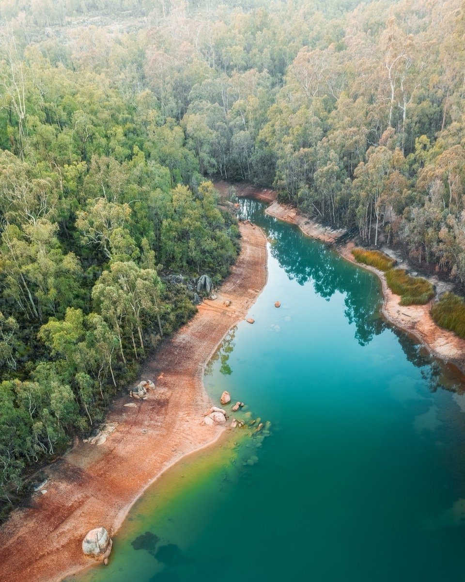 It's World Parks Week! Now is the time to get out and explore! 🏕️ 
Become a member of the WA Parks Foundation &amp; help conservation projects. Join this month and go into a prize draw (Ts and Cs apply). 
ourwaparks.org.au/sip/caravan-an…

John Forrest National Park 📸<a href="/NaturebyNathan/">Nature By Nathan</a>